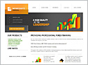 Forex Trading Website 18